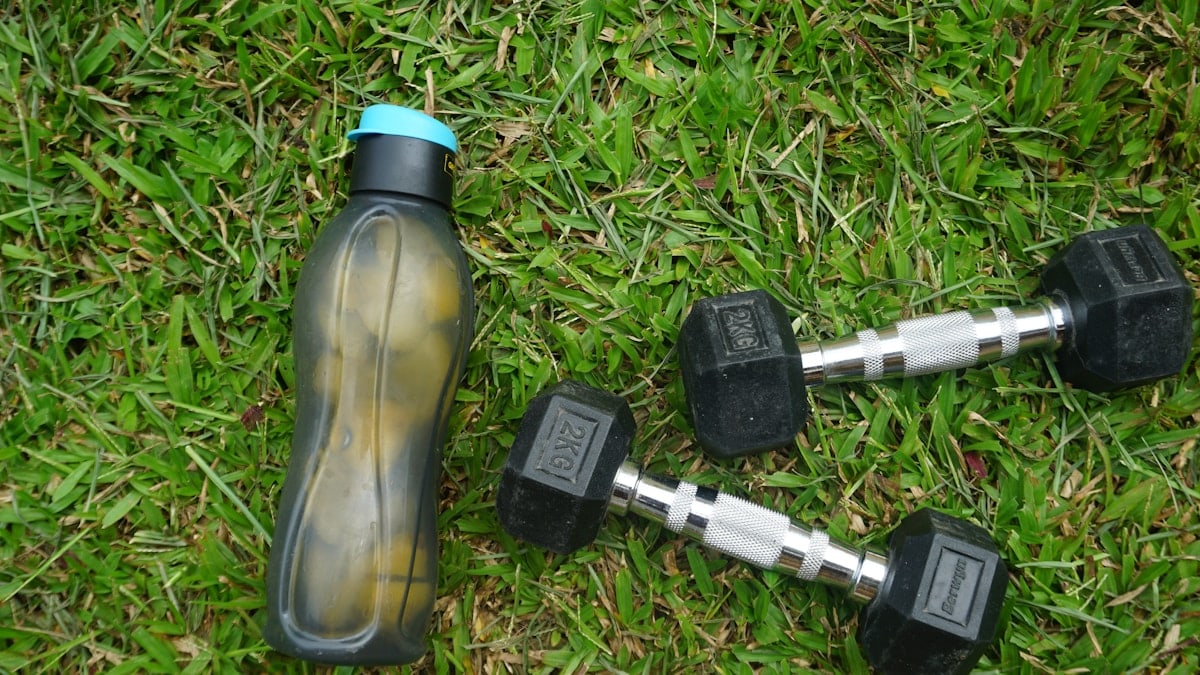 2 black and gray dumbbells on green grass